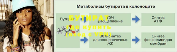 spice Богданович