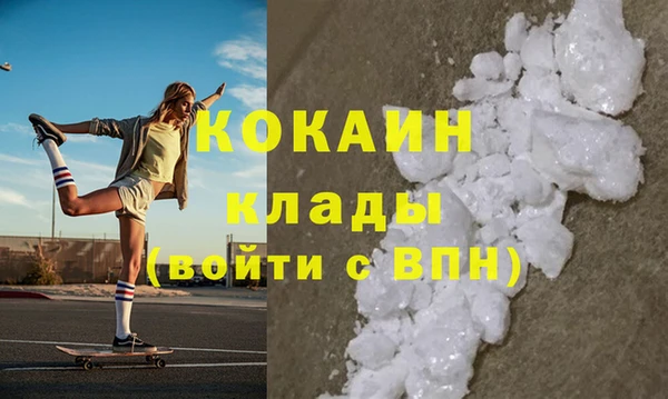 PSILOCYBIN Михайлов