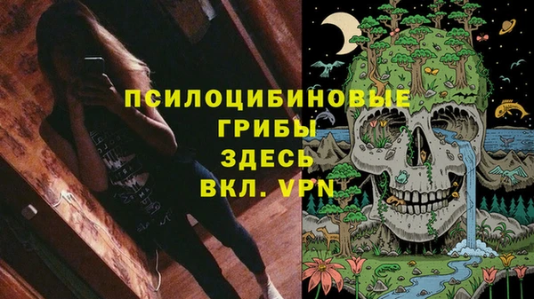 PSILOCYBIN Михайлов